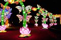 China Light antwerpen zoo lichtfestival lightfestival lichtfeest lichtspektakel festival event events evenement evenementen draak dragon lotusprinses lotus glow chinese